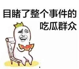 抖音娱乐圈吃瓜群众群聊